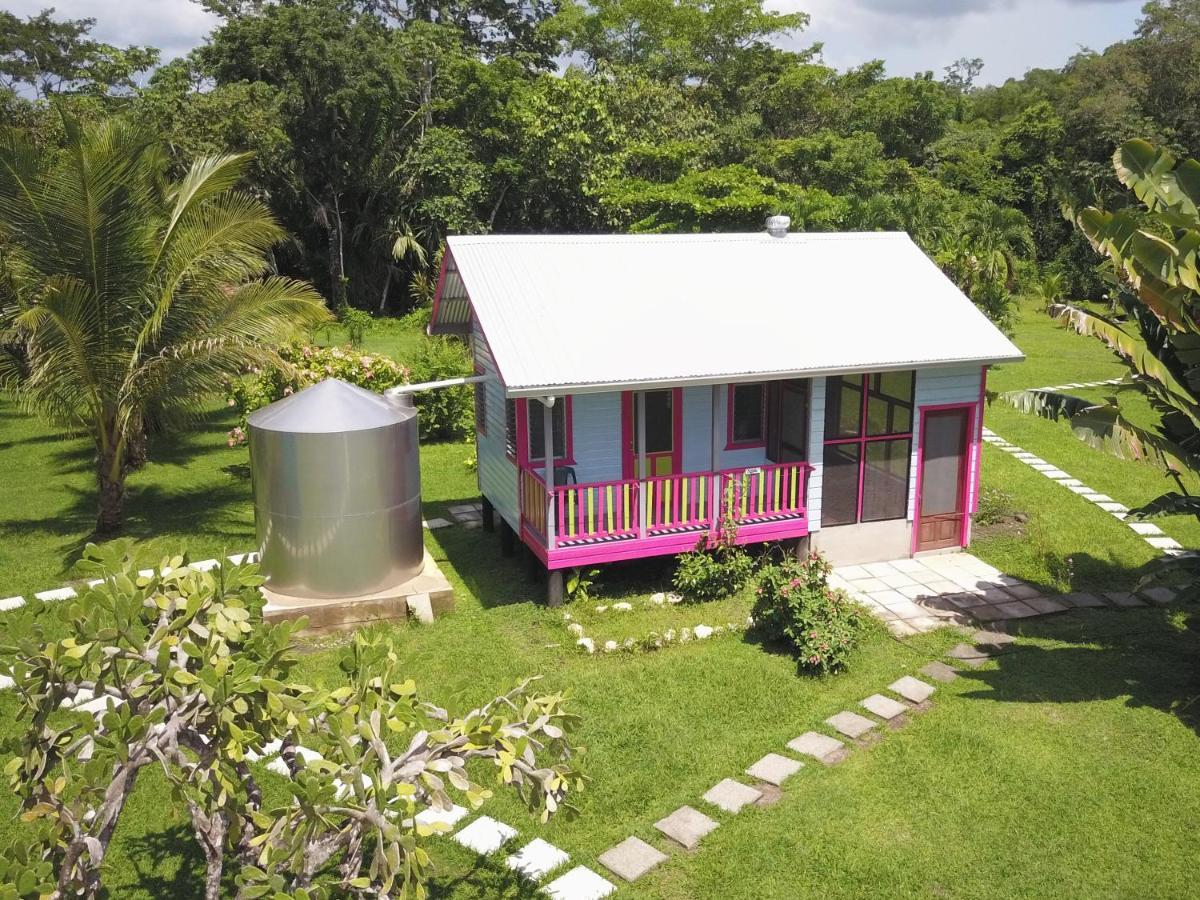Lower Dover Jungle Lodge & Maya Ruins Unitedville Extérieur photo