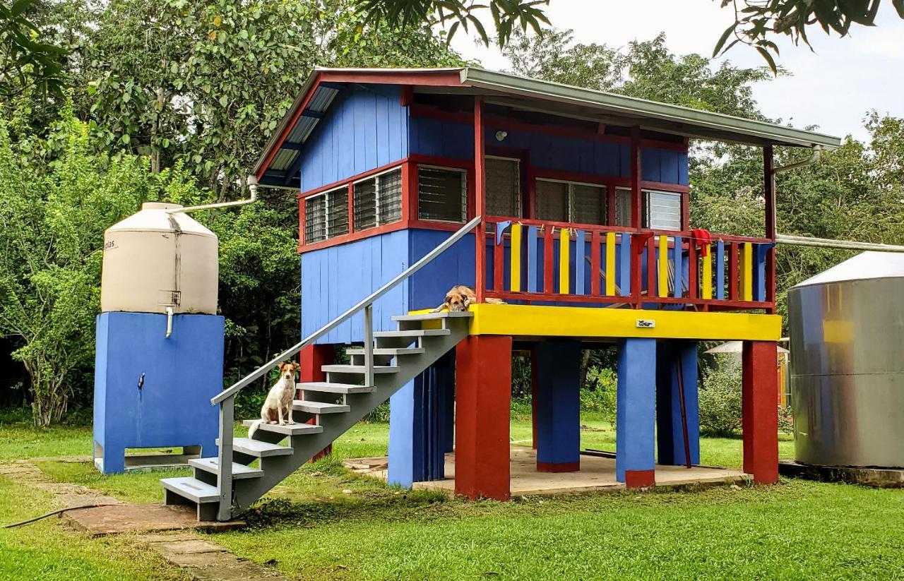 Lower Dover Jungle Lodge & Maya Ruins Unitedville Extérieur photo