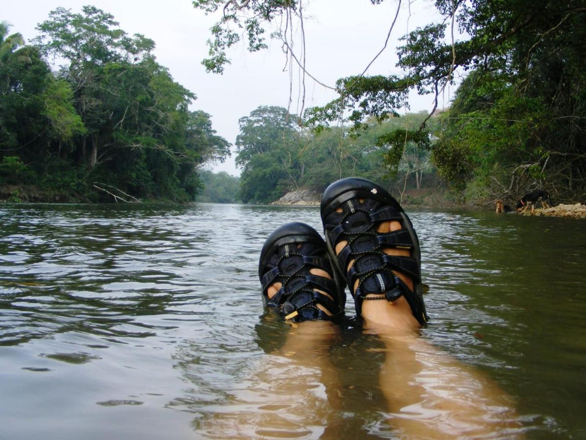 Lower Dover Jungle Lodge & Maya Ruins Unitedville Extérieur photo