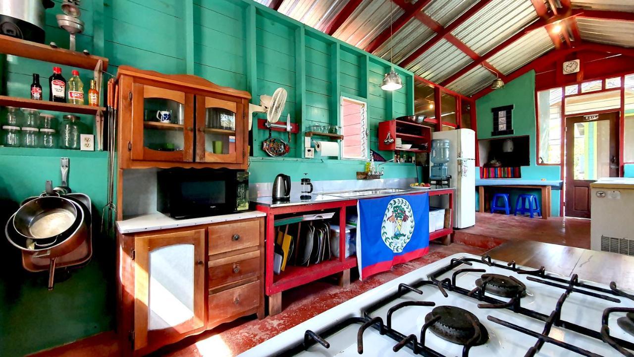Lower Dover Jungle Lodge & Maya Ruins Unitedville Extérieur photo
