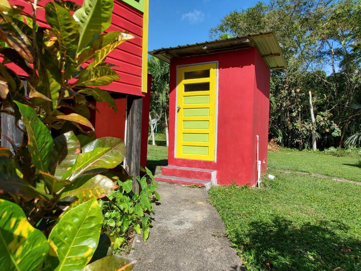 Lower Dover Jungle Lodge & Maya Ruins Unitedville Extérieur photo