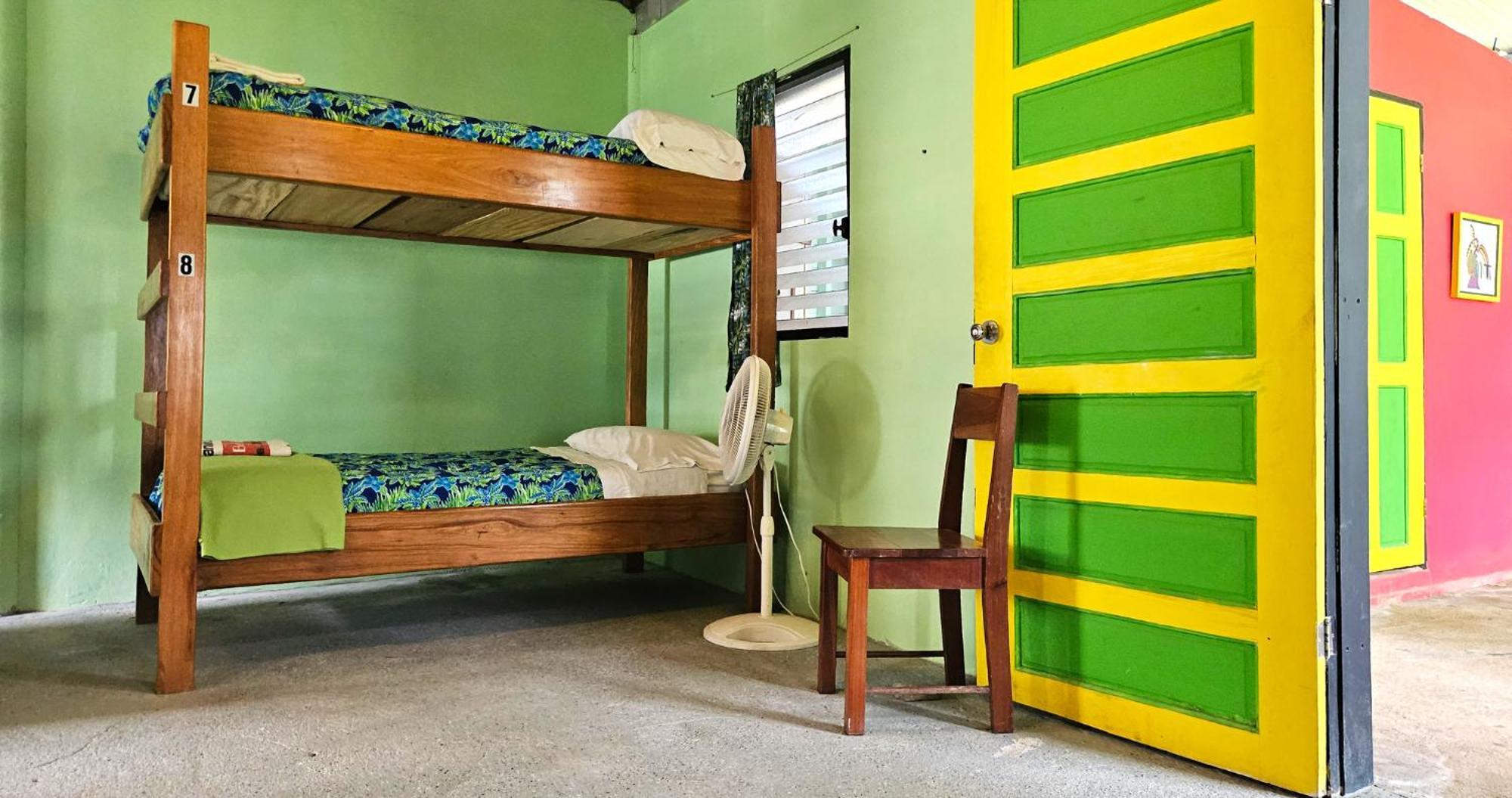 Lower Dover Jungle Lodge & Maya Ruins Unitedville Chambre photo