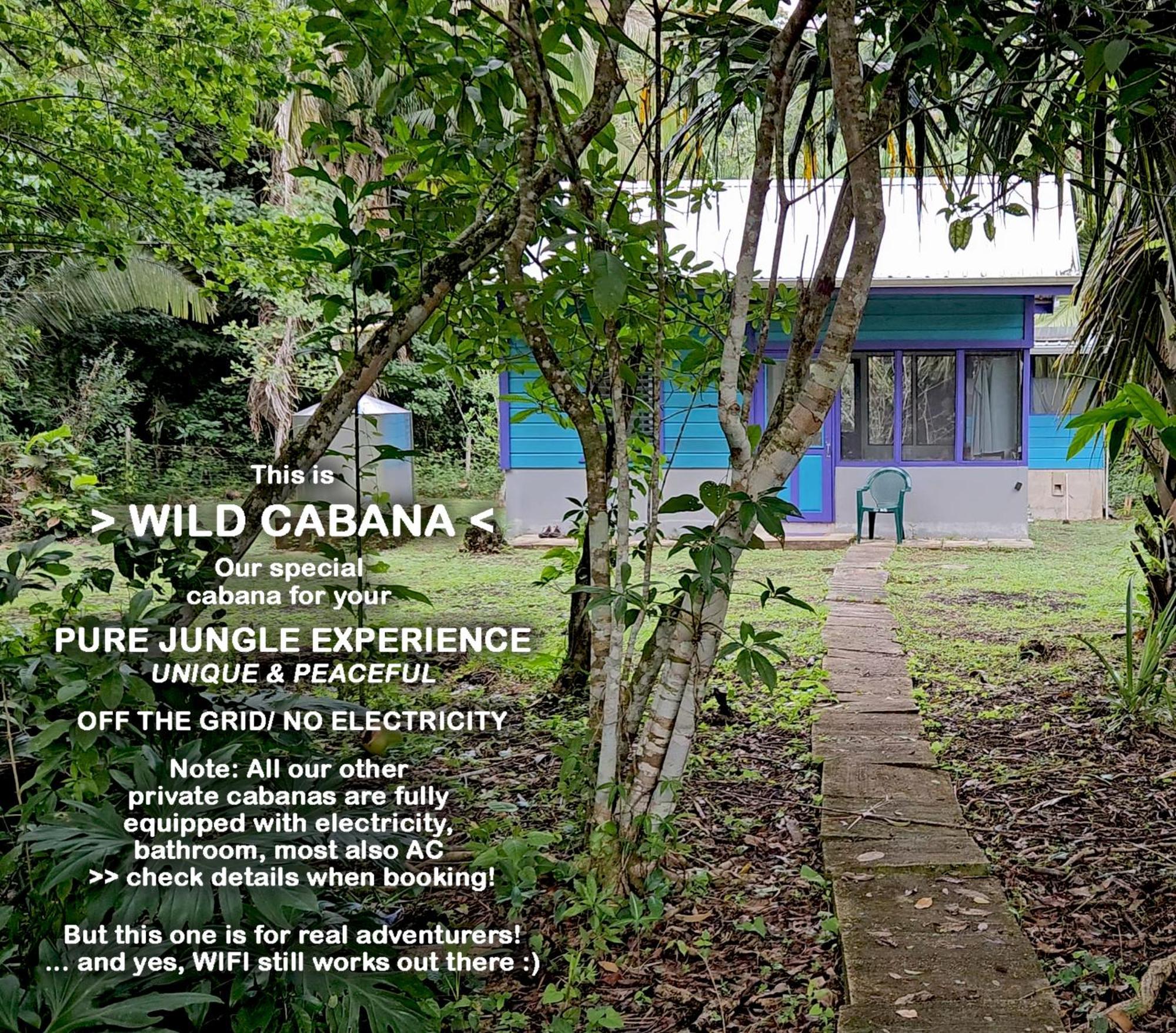 Lower Dover Jungle Lodge & Maya Ruins Unitedville Chambre photo