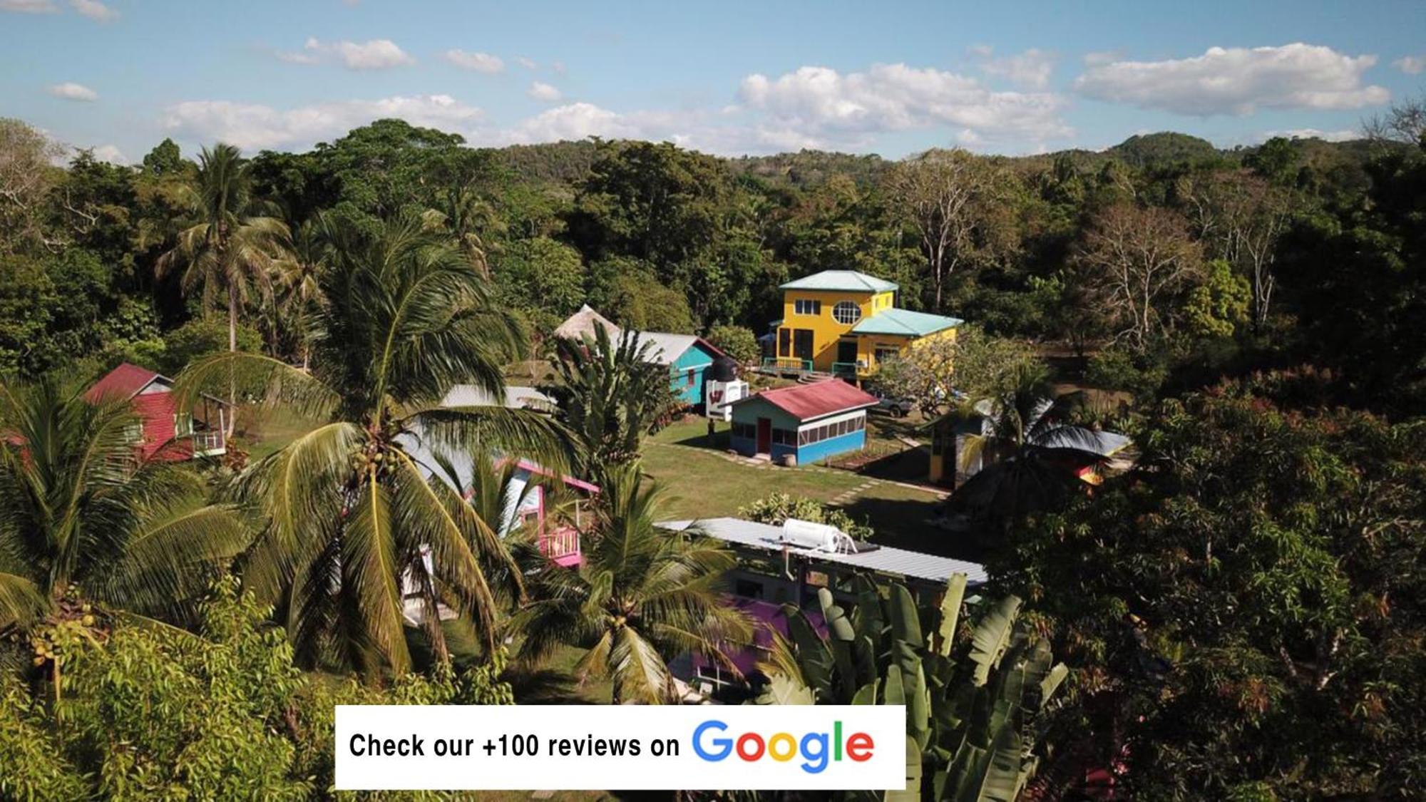 Lower Dover Jungle Lodge & Maya Ruins Unitedville Extérieur photo