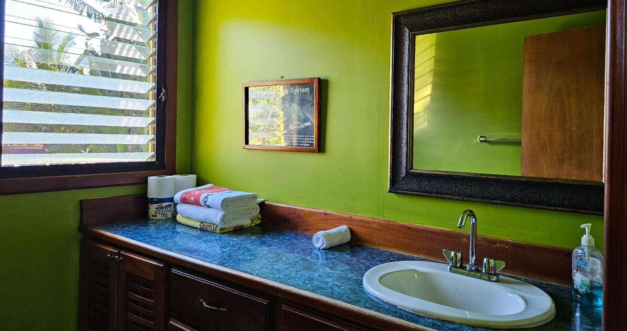 Lower Dover Jungle Lodge & Maya Ruins Unitedville Chambre photo
