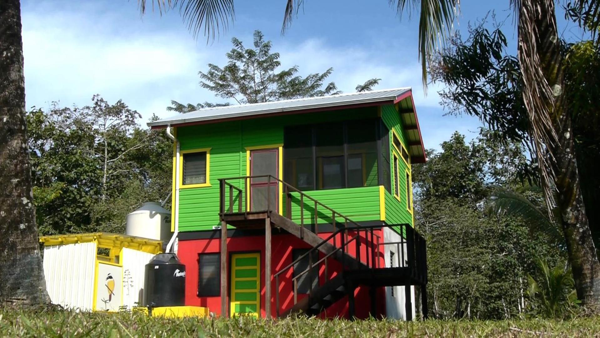 Lower Dover Jungle Lodge & Maya Ruins Unitedville Chambre photo