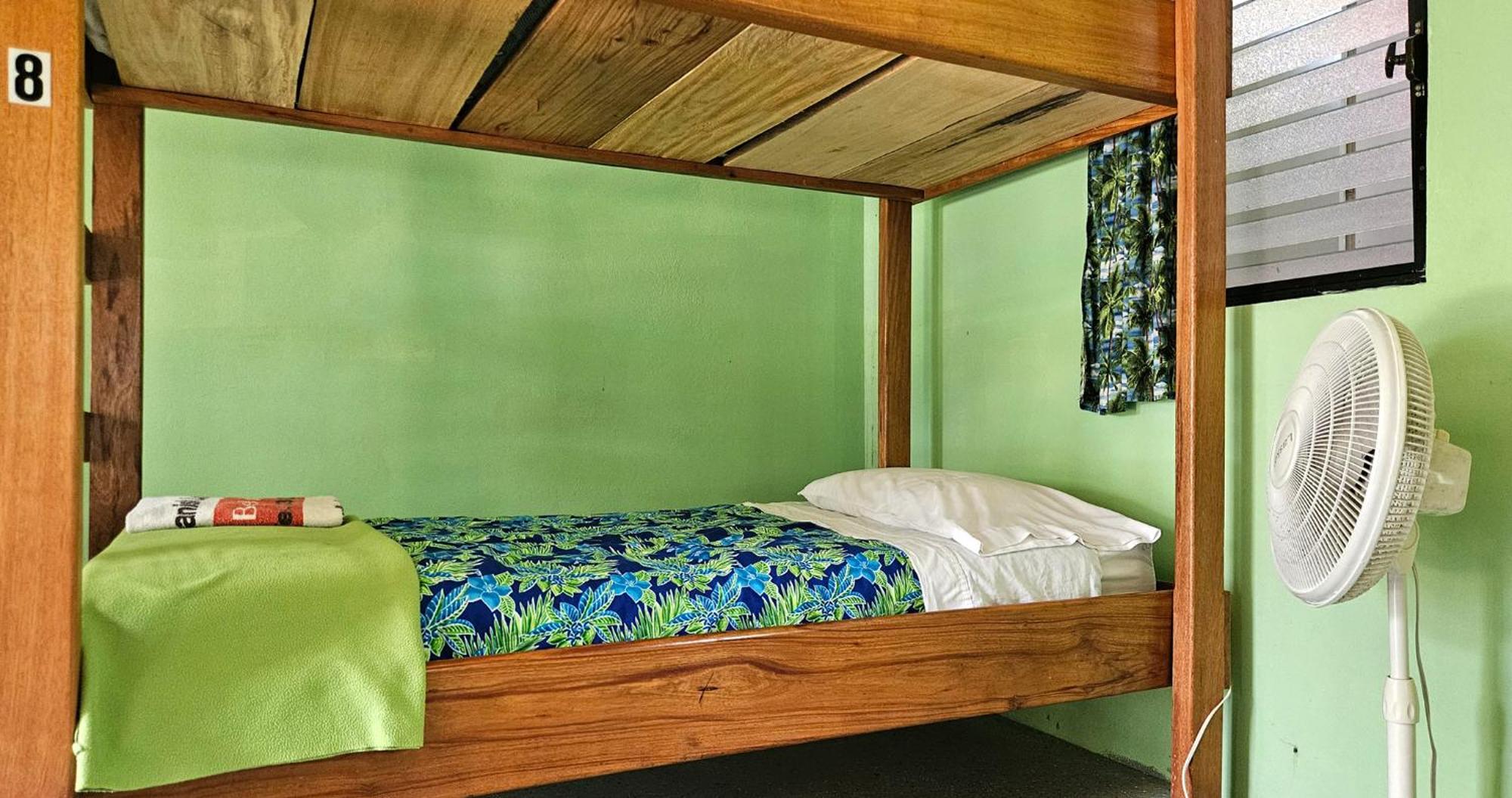 Lower Dover Jungle Lodge & Maya Ruins Unitedville Chambre photo