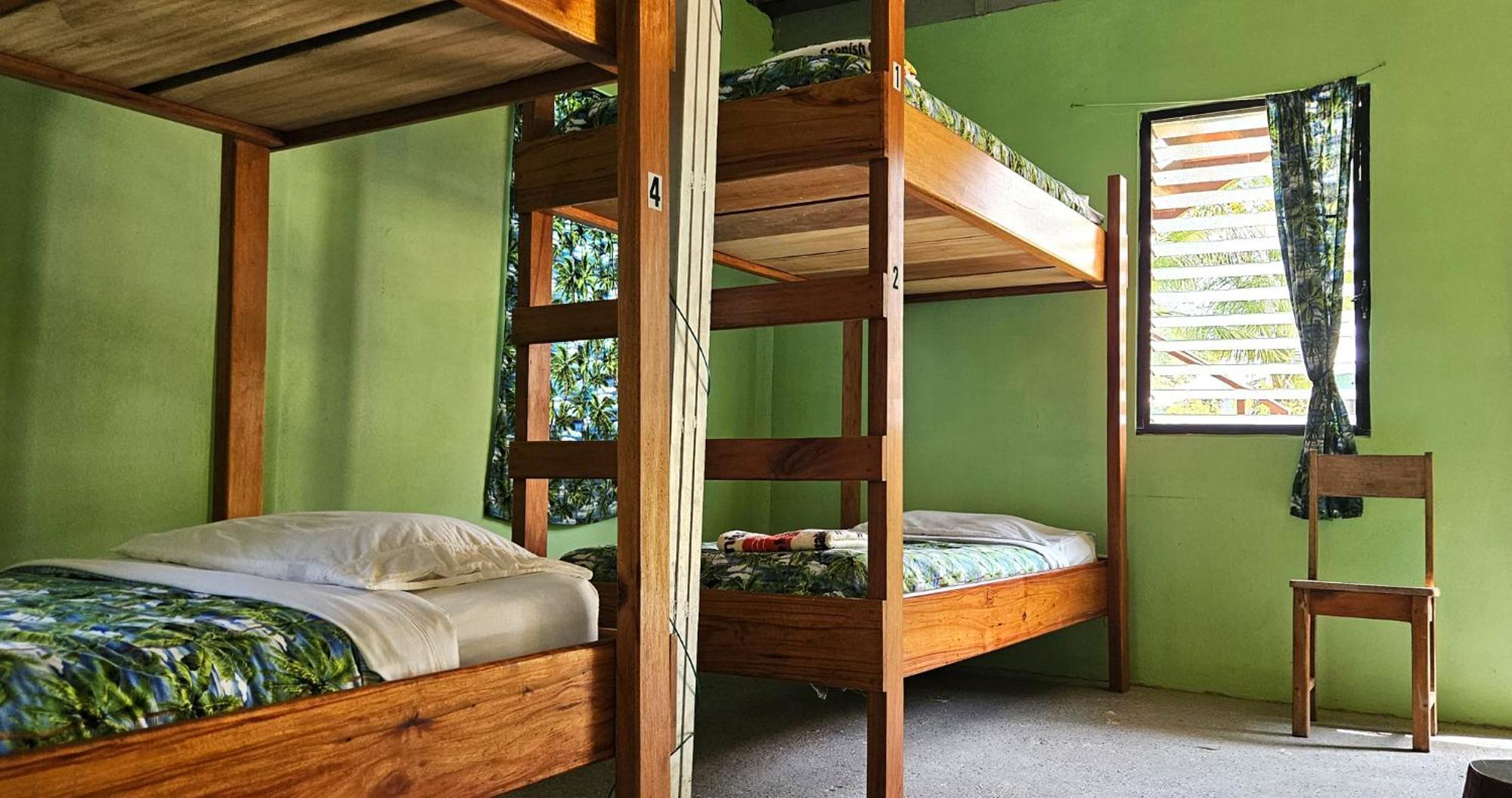 Lower Dover Jungle Lodge & Maya Ruins Unitedville Chambre photo