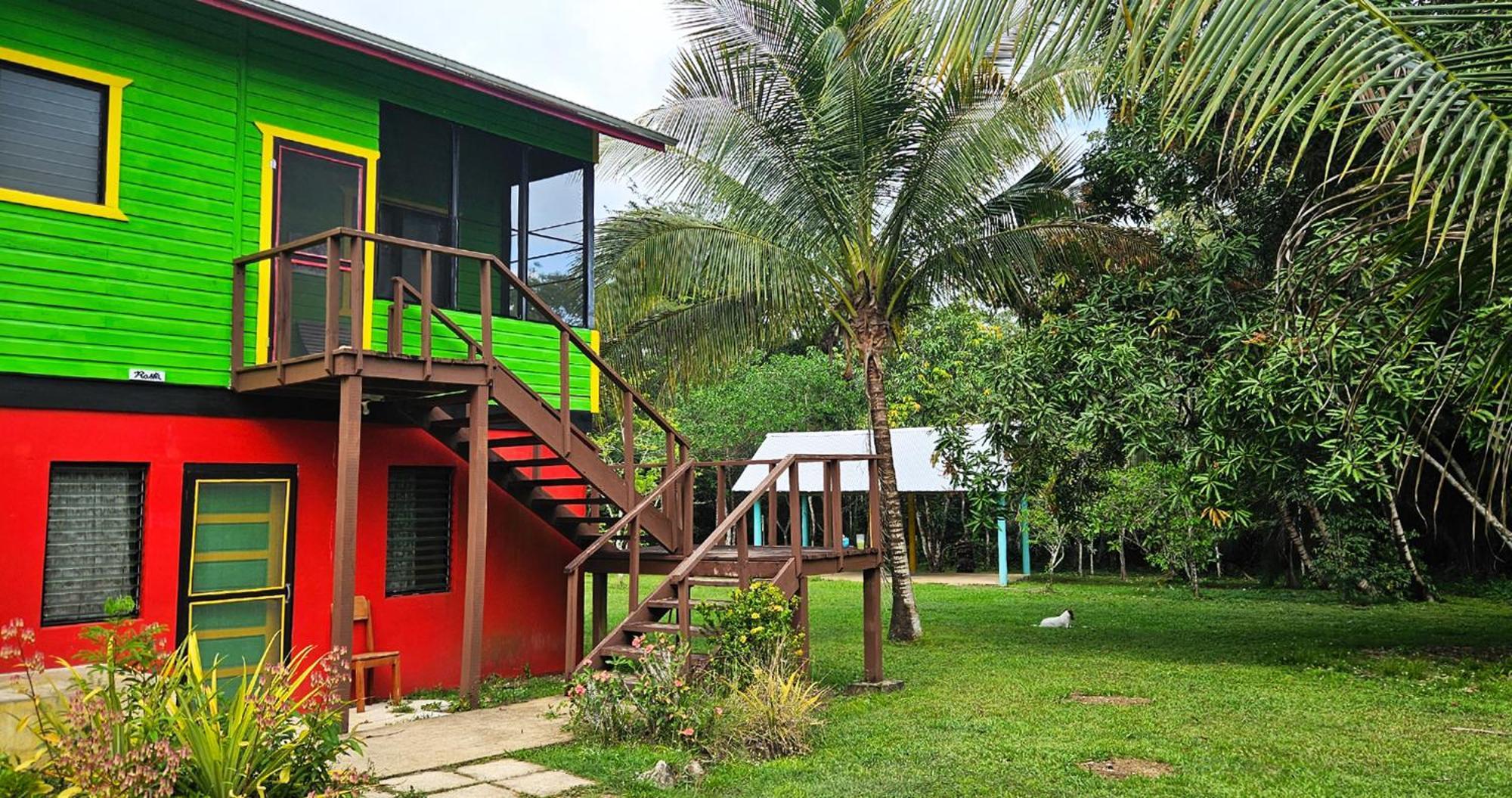 Lower Dover Jungle Lodge & Maya Ruins Unitedville Chambre photo