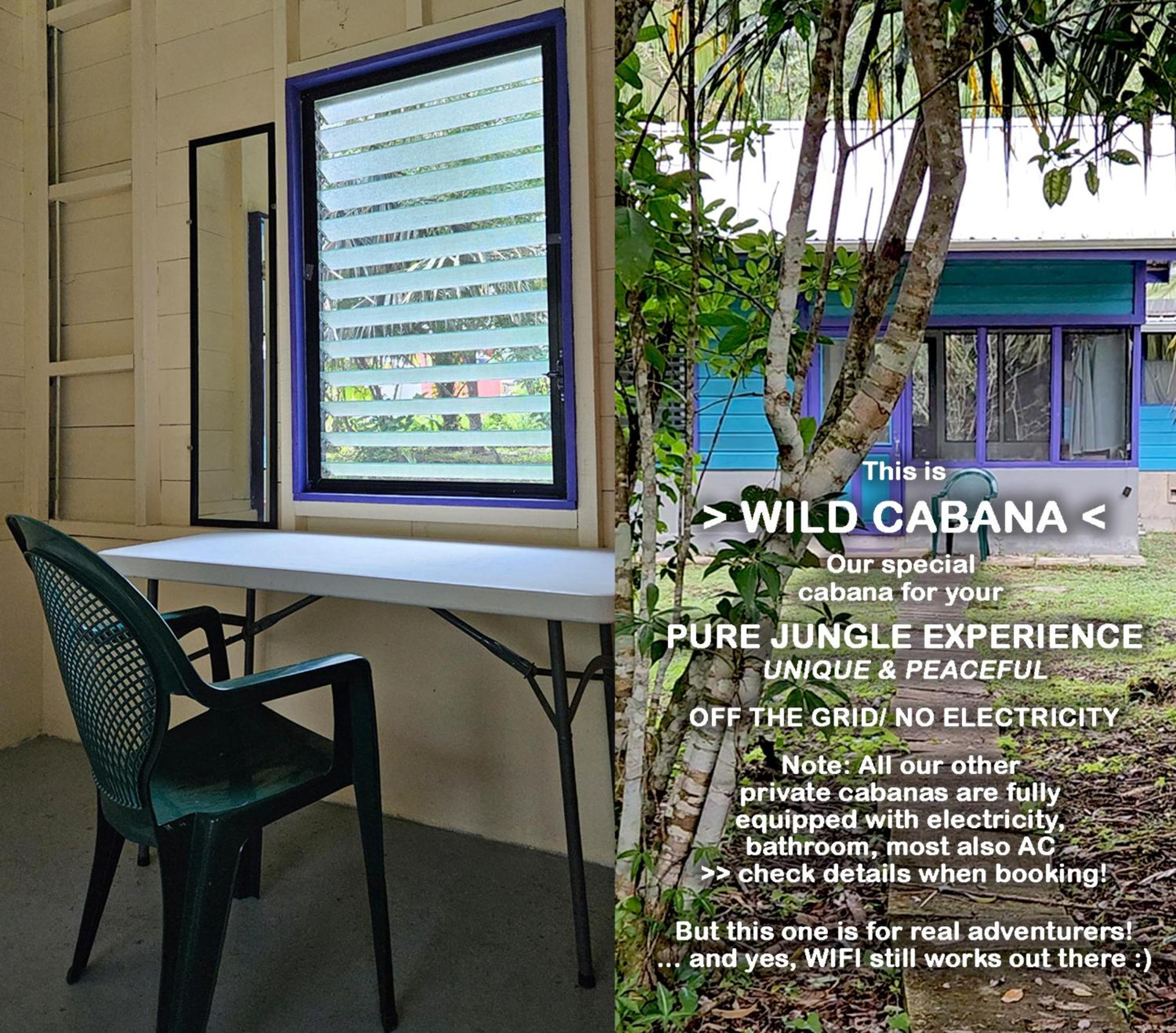 Lower Dover Jungle Lodge & Maya Ruins Unitedville Chambre photo