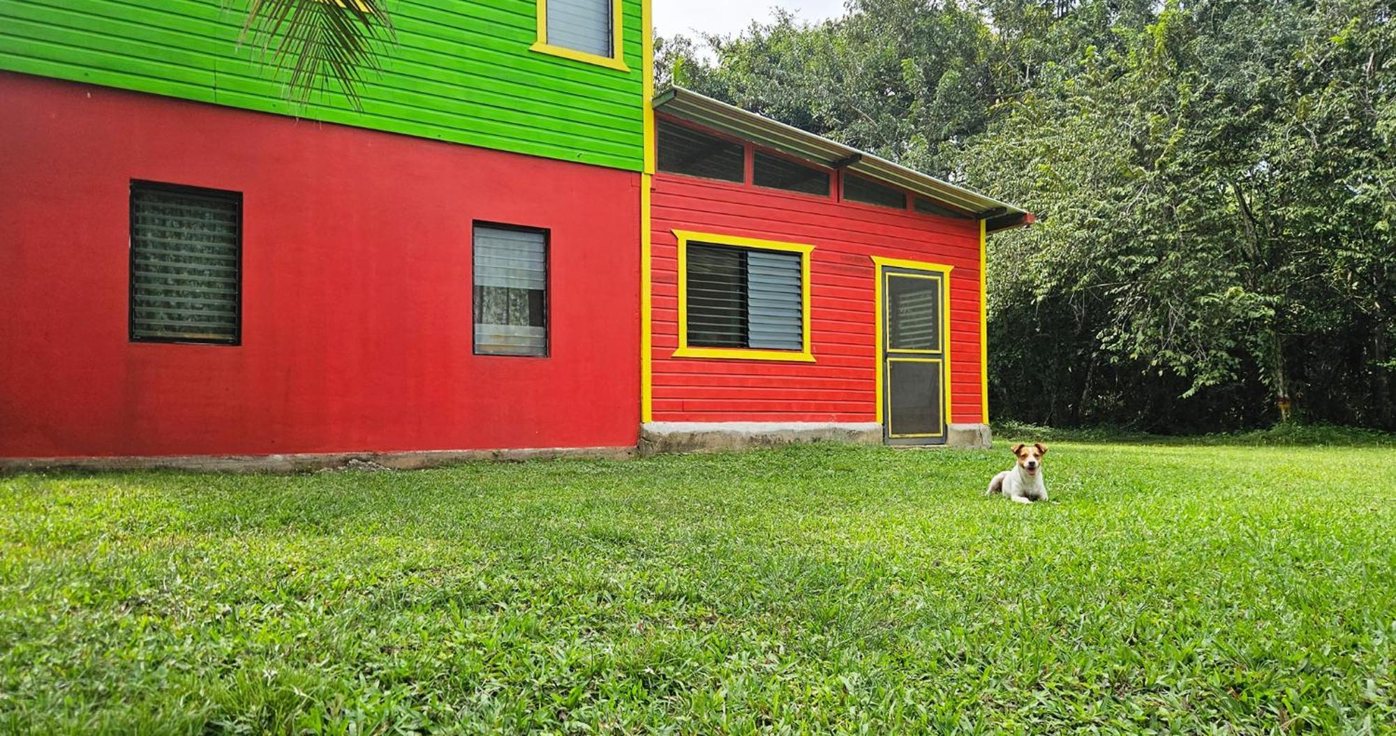 Lower Dover Jungle Lodge & Maya Ruins Unitedville Chambre photo