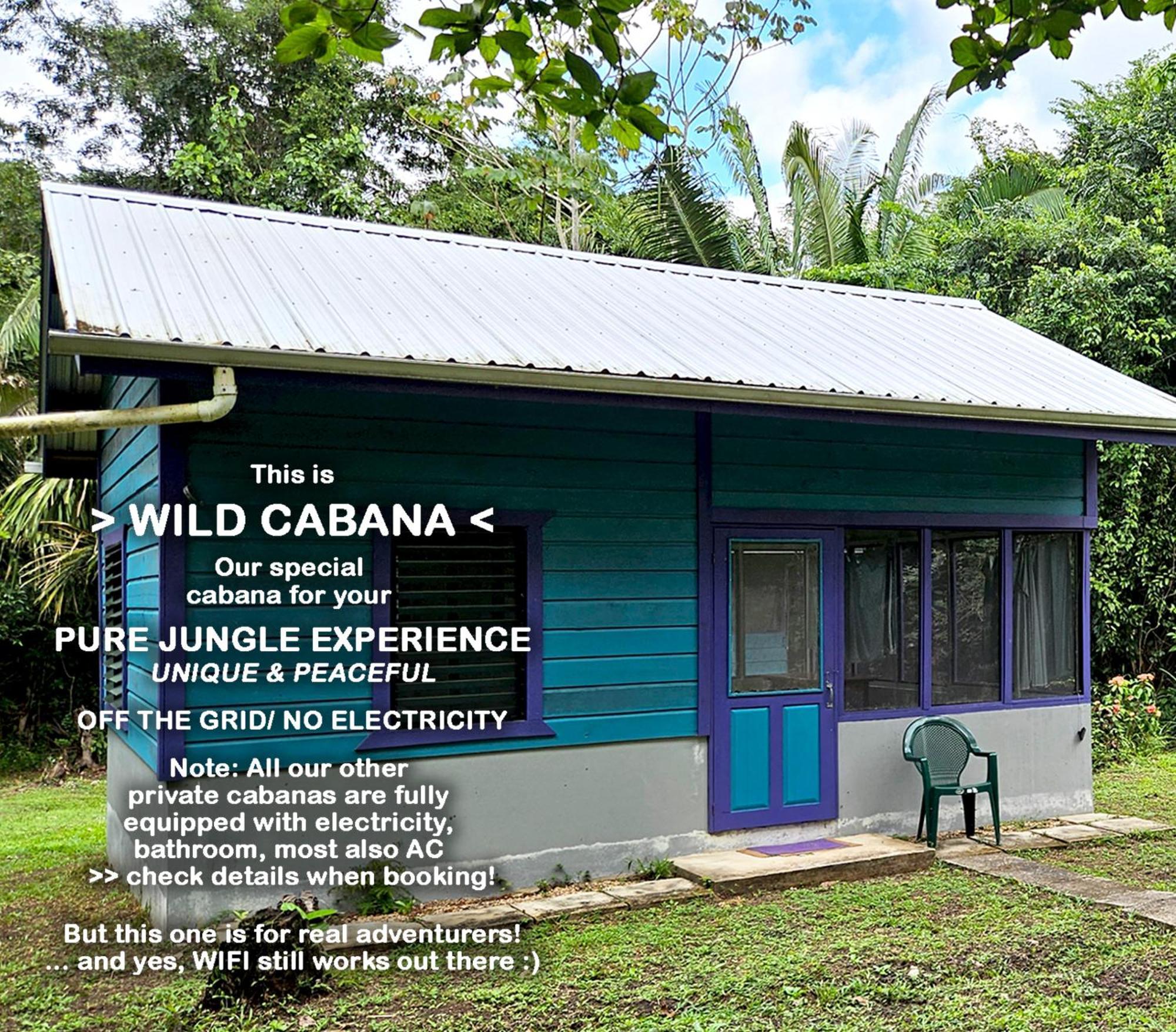 Lower Dover Jungle Lodge & Maya Ruins Unitedville Chambre photo