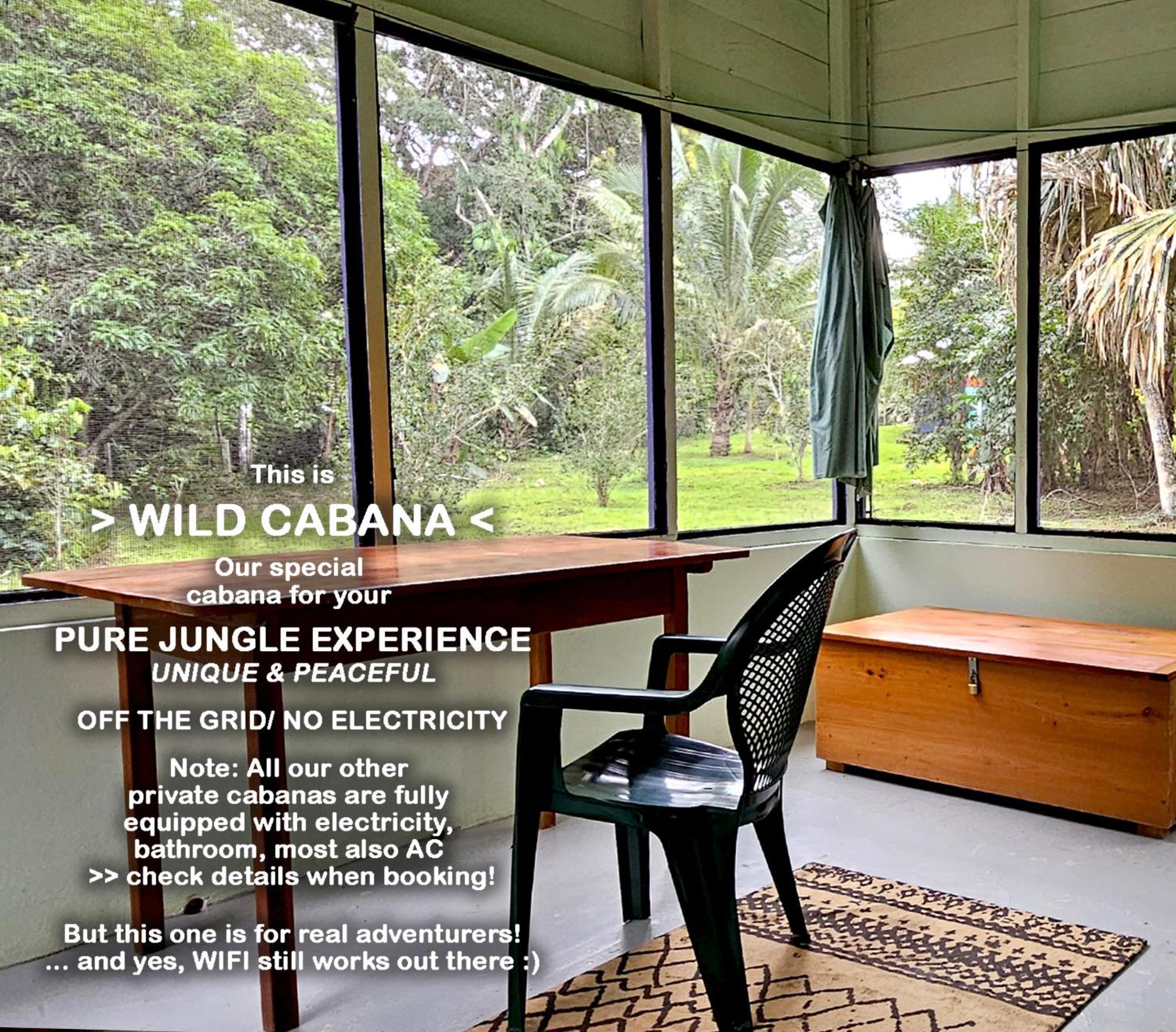 Lower Dover Jungle Lodge & Maya Ruins Unitedville Chambre photo