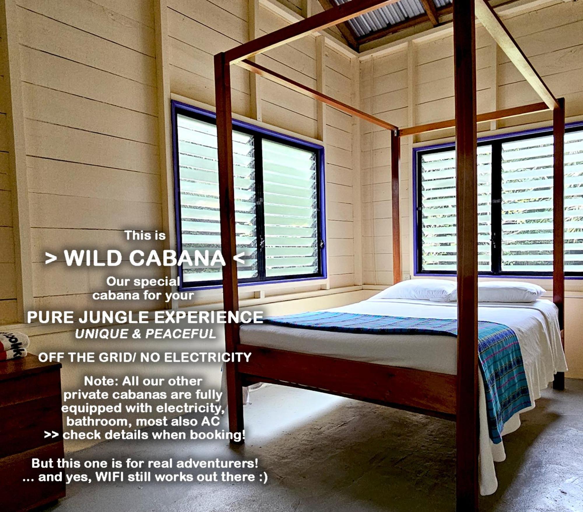 Lower Dover Jungle Lodge & Maya Ruins Unitedville Chambre photo