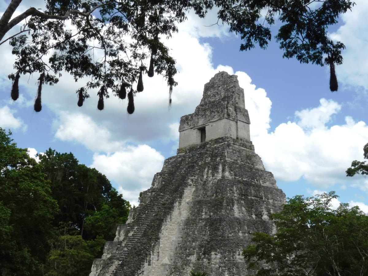 Lower Dover Jungle Lodge & Maya Ruins Unitedville Extérieur photo