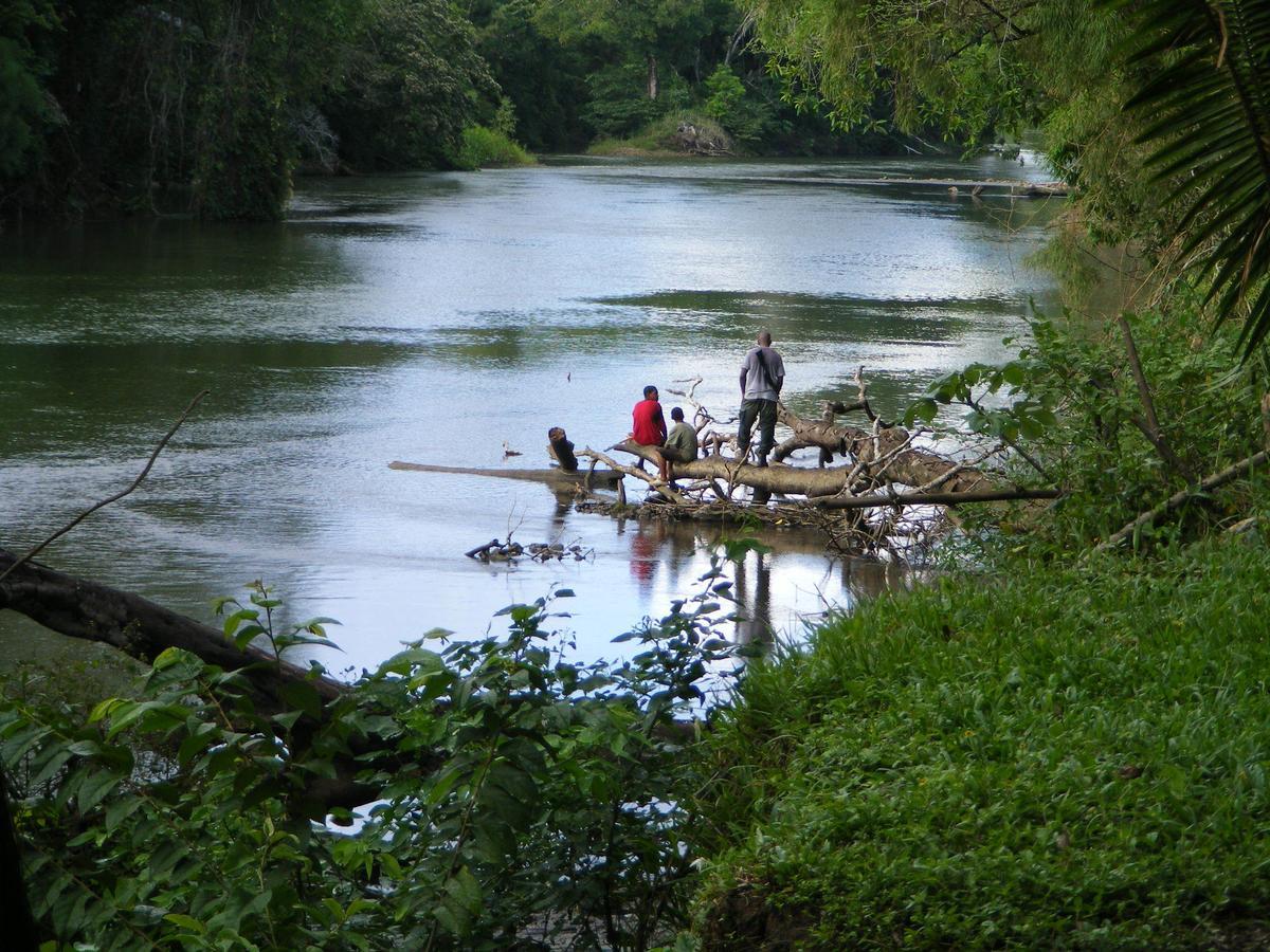 Lower Dover Jungle Lodge & Maya Ruins Unitedville Extérieur photo