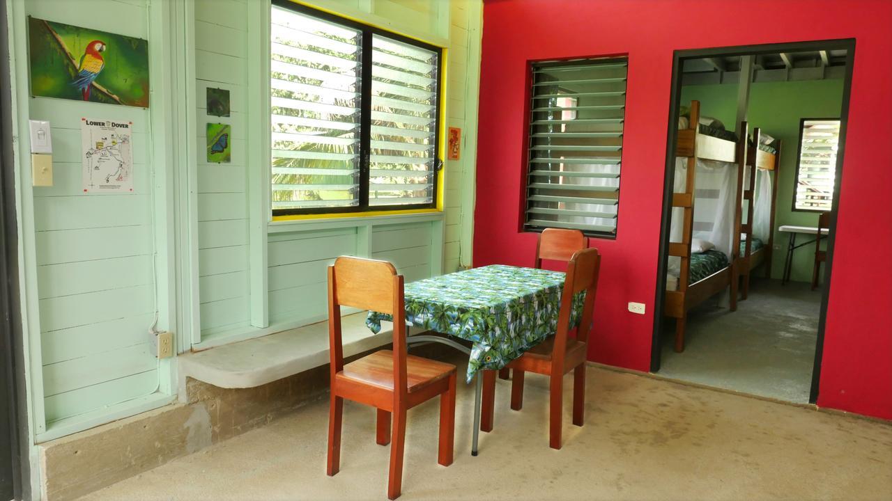 Lower Dover Jungle Lodge & Maya Ruins Unitedville Extérieur photo